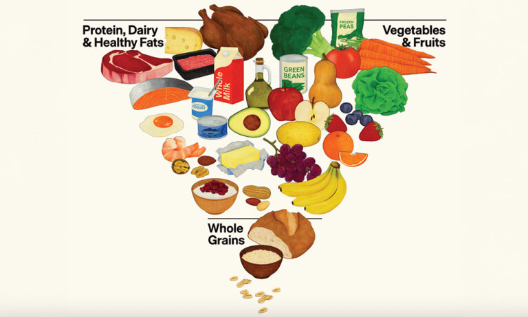 傳統食物金字塔過時了？解構美國2025-2030膳食指南